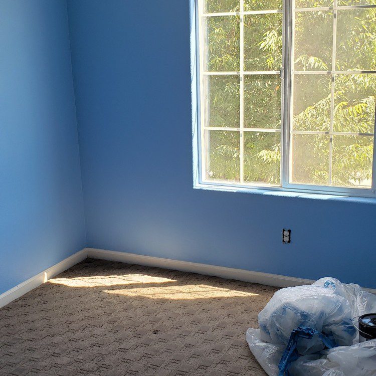 Handyman & Repair Services in Woodland, CA